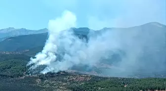 Hatay'ın Hassa ilçesinde orman yangınına müdahale başladı