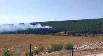 Yalova'da Orman Yangını: Havadan ve Karadan Müdahale Devam Ediyor