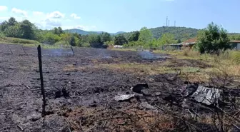 Yalova'da çıkan orman yangınlarıyla ilgili soruşturma başlatıldı