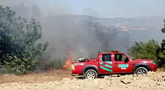 Adana'nın Kozan ilçesinde orman yangını çıktı