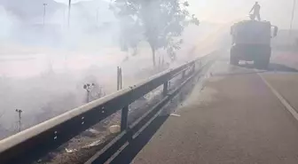 Hatay'ın Arsuz ilçesinde ot yangını söndürüldü