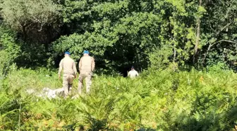 Zonguldak'ta kaybolan emekli maden işçisi için arama çalışmaları sürüyor