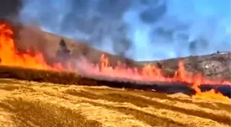 Çankırı'da buğday tarlasında çıkan yangında 15 dönüm alan zarar gördü