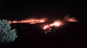 Mardin'de ağaçlık alanda çıkan yangın kontrol altına alındı