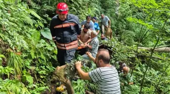 Trabzon'da uçuruma düşen kadın itfaiye ekiplerince kurtarıldı