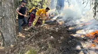 Keles ormanlarında çıkan yangın kontrol altına alındı