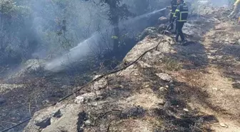 Hatay'ın Yayladağı ilçesinde orman yangını söndürüldü