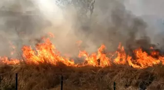 Zeytinburnu'nda çıkan yangın itfaiye ekipleri tarafından söndürüldü