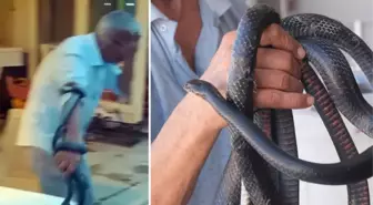 Koynunda beslediği yılanlar böyle ısırdı