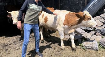 Ardahanlı genç çiftçi Tarım ve Orman Bakanlığından hibe destek alarak hayvancılığa başladı