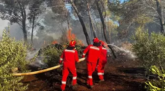 Arnavutluk'ta Şingin ilçesinde orman yangını çıktı