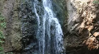 Karabük'teki Baklabostan Tabiat Parkı Tatilcilerin İlgi Odağı