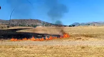 Batman'ın Kozluk ilçesinde anız yangını söndürüldü