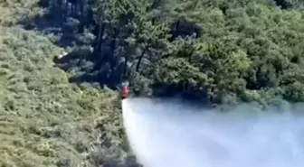 Beykoz'da Ormanlık Alanda Yangın Çıktı