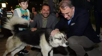 Beylikdüzü Belediye Başkanı Hayvanları Koruma Kanunu'na İlişkin Açıklama Yaptı