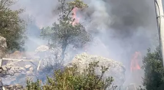 Bodrum'da Makilik Yangını