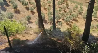 Kahramanmaraş'ta Orman Yangınına Havadan ve Karadan Müdahale