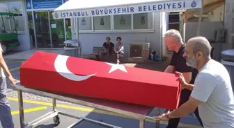 Kenan Işık'ın Cenazesi Atatürk Kültür Merkezi'ne Götürüldü