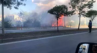 Samsun'da çalılık ve otluk alanda çıkan yangın korkuttu