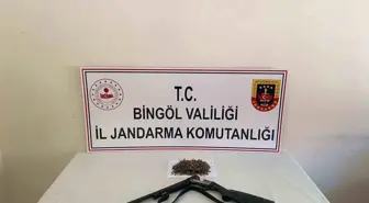 Bingöl'de 6 Bin 283 Kök Kenevir ve Ruhsatsız Av Tüfeği Ele Geçirildi