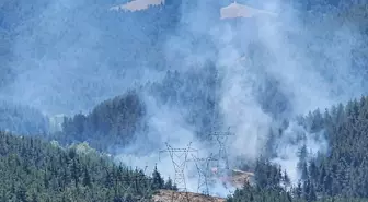 Orhaneli'deki Orman Yangını Kontrol Altına Alındı