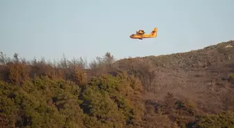 İzmir Urla'daki Orman Yangını Kontrol Altına Alındı