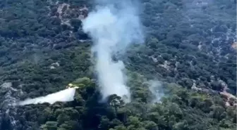 Muğla'da Ormanlık Alanda Yangın Çıktı