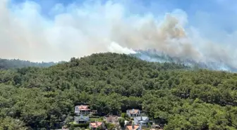 İzmir Urla'da Orman Yangını: 120 Konut Tahliye Edildi