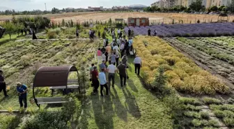 Van YYÜ'de 5. Tıbbi ve Aromatik Bitkiler Hasat Bayramı düzenlendi