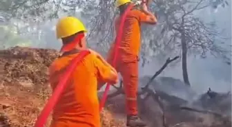 Antalya Serik'te çıkan orman yangını kontrol altına alındı