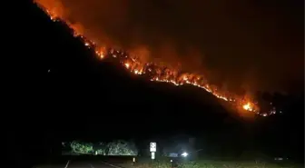 ABD'nin Colorado eyaletindeki orman yangında 1 kişi hayatını kaybetti