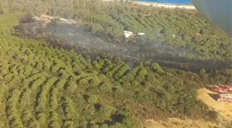 İzmir Aliağa'da Orman Yangını Kontrol Altına Alındı