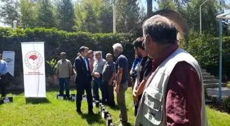 Konya'da üreticilere budama kursu sonunda hibe budama makası verildi