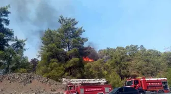 Muğla'da orman yangını kısmen kontrol altına alındı