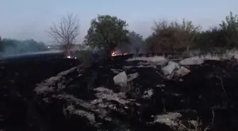 Malatya'da çıkan ot ve bahçe yangınları söndürüldü