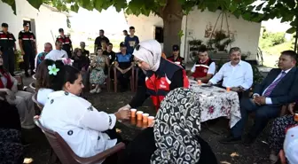 Osmaniye'de Kapalı Alanda Yetiştirilen Güller Hasat Edildi