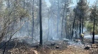 Balıkesir Dursunbey'deki Orman Yangını Kontrol Altına Alındı