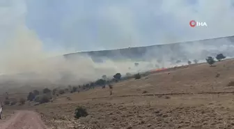 Rüzgarın etkisiyle yayılan yangın yüzlerde dönüm alanda etkili oldu