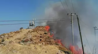 Bodrum'da Otluk ve Makilikte Yangın Çıktı