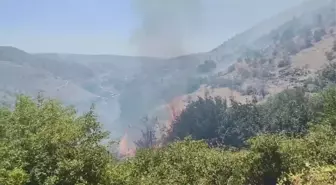 Diyarbakır'da Ormanda Çıkan Yangın Üzüm Bağına Sıçradı