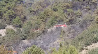 Tokat'ın Turhal ilçesinde çıkan yangın kontrol altına alındı