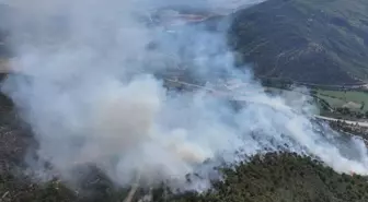 Tokat'ın Turhal ilçesinde ormanlık alanda yangın çıktı