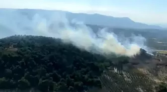 Manisa'da Kırkağaç ilçesinde çıkan orman yangınına müdahale ediliyor