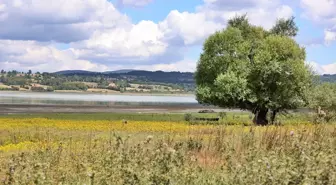 Ladik Gölü Kuraklık Nedeniyle Küçülüyor