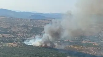 Manisa'da çıkan 2 orman yangını kontrol altına alındı