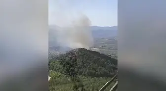 Manisa'da Ormanlık Alanda Yangın Çıktı