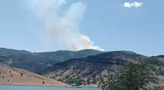 Tunceli'de Sarp Bir Alanda Orman Yangını