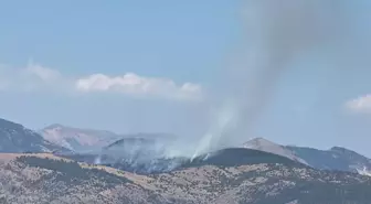 Tunceli'de Orman Yangını Çıktı