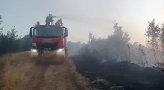 Bingöl'ün Genç ilçesinde orman yangını çıktı