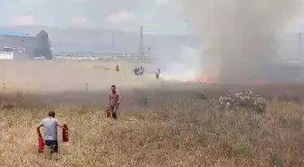 Erzurum'da Buğday Tarlasında Yangın Çıktı